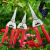 Прививочный секатор Professional Grafting Tool для сада, виноградников и питомников