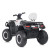 Квадроцикл M 4868EL-1(24V)