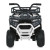 Квадроцикл M 6127EBLR-1(24V)