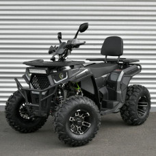 Квадроцикл AFB200L-19