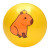 Мяч детский MS 3775