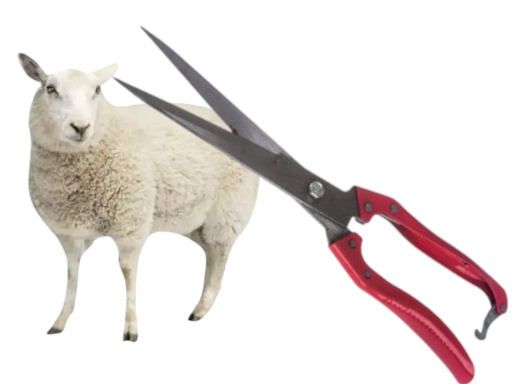 Набор для сада 3в1: ножницы FEEl Long Wool Shears (Light/Standard) + перчатки + складной серп 43 см