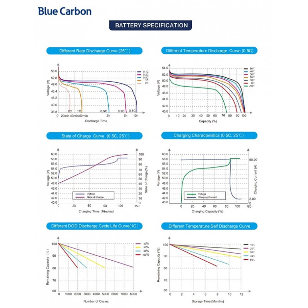 Аккумуляторная батарея Blue Carbon LiFePo4 48V 300Ah 15.36kWh BCT-V-48-300