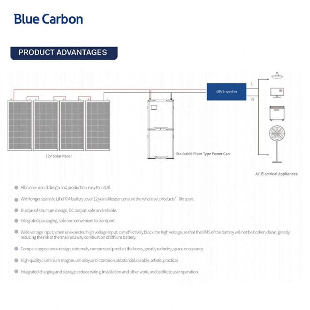 Аккумуляторная батарея Blue Carbon LiFePo4 48V 300Ah 15.36kWh BCT-V-48-300