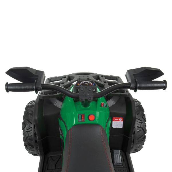 Квадроцикл M 4795EBLR-5