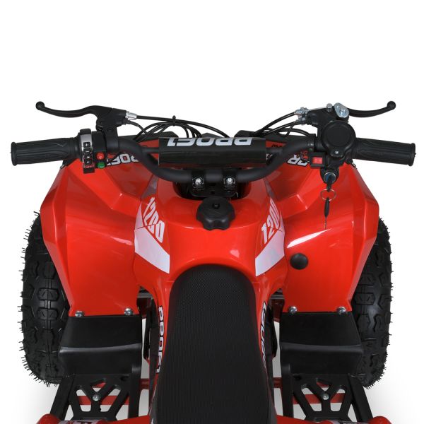 Квадроцикл E-XBW-1200-3(MP3)