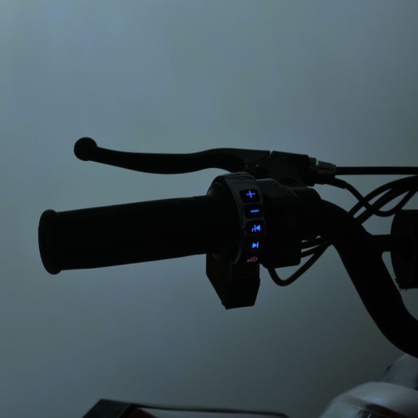 Квадроцикл E-XBW-1200-5(MP3)